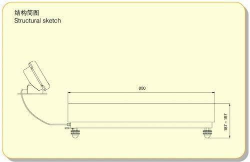 Electronic Platform Scale (TCS-300/500/1000-8060) 2