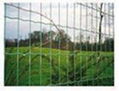 Fence Mesh Series