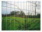 Fence Mesh Series