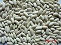 White Kidney Beans with best quality 2011 crop 3