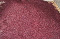 Dark Red Kidney Beans --180pcs/100g 1