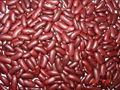 Dark Red Kidney Beans 2011 crop 1