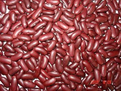 Dark Red Kidney Beans 2011 crop