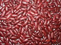 Dark Red Kidney Beans --180pcs/100g 2