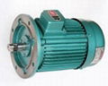 Newtron Induction Motors 