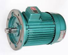 Newtron Induction Motors 