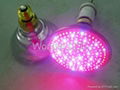 LED Grow Light