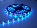 Waterproof LED Strip