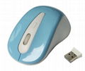 Wireless Optical Mouse