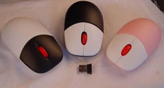 Wireless Optical Mouse