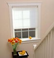 Temporary Pleated Blinds - TempFit (Golden Champion) 2