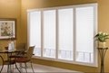 Temporary Pleated Blinds - TempFit (Golden Champion) 3
