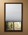 Temporary Pleated Blinds - TempFit (Golden Champion) 5