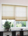 Cordless Cellular Blinds (Golden