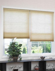 Cordless Cellular Blinds (Golden Champion)