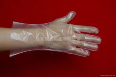 Disposable Glove