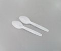 Special Offer --- PSB Spoon