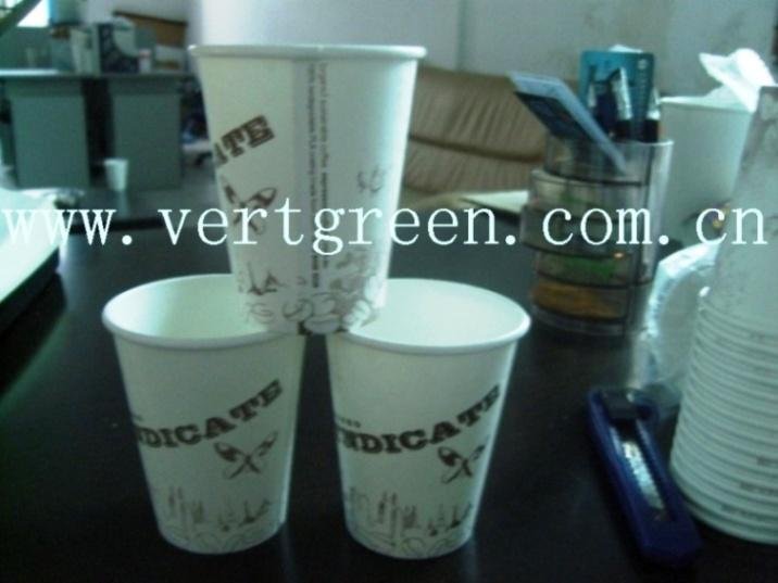 compostable Hot cups 