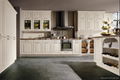 ZiRanXing integral kitchen 1