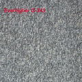 G343 Grey Granite