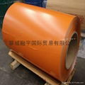 color coated steel coil