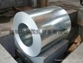 hot-dipped galvanized steel coil  1