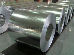 hot dipped galvanized steel coil