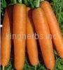 Carrot Seed Oil  CAS No.: 8015-88-1  1