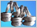 Black annealed wire 2