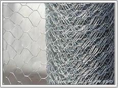 Hexagonal Wire Mesh 2