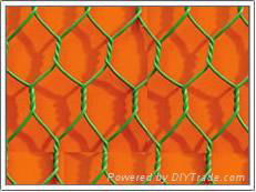 Hexagonal Wire Mesh 3