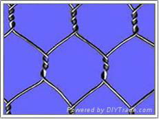 Hexagonal Wire Mesh 4