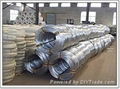 Hot Dipped Galvanized Iron Wire