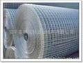 welded wire mesh 4