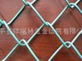 chain link fence 1