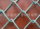 chain link fence