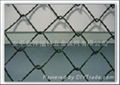 chain link fence 3