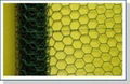 hexagonal wire netting