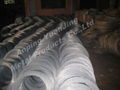 galvanized wire