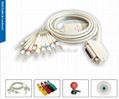 EKG Cable and Leadwires 1