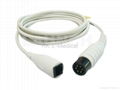 IBP Cable 2