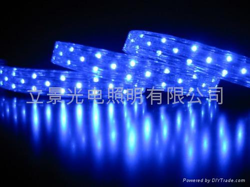 LED Rope Lights 5