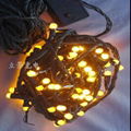 LED Twinkle Light 3