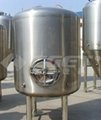 Beer Brighter Tank--beer equipment