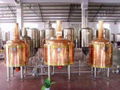 Hotel Beer Brewing Equipment--beer equipment,brewing equipment,brewery equipment