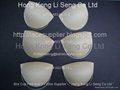 Bra Cup Pad And U Wire