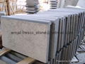 Chinese blue limestone swimming pool edge 2