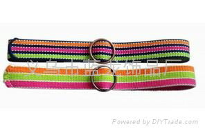 fashion lady belt 3