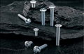 Hexagon head bolt DIN 931/ DIN 933 grade 4.8/ 8.8 5