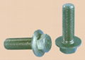 Hex Flange head bolt 1